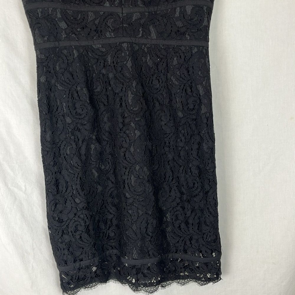 Adrianna Papell Black Lace Knee Length Cocktail Dress - Picture 3 of 8